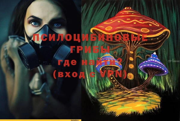 прущие крисы Нефтекумск