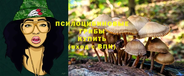 2c-b Нея