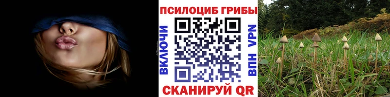 Псилоцибиновые грибы GOLDEN TEACHER  hydra сайт  Цимлянск 